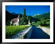 Vineyards And Chateau, Montreux, Switzerland by Peter Adams Limited Edition Print