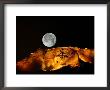 Moonrise Over An Illuminated Ridge by Richard Nowitz Limited Edition Print