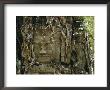 Temple Ruins Covered With Tree Roots by W. E. Garrett Limited Edition Pricing Art Print