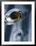 Olive In A Wine Glass by William Swartz Limited Edition Print