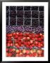 Overview Of Fruit In Cartons by Jeff Friedman Limited Edition Print
