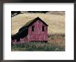 Weathered Wooden Barn In Dry Fields Off Highway 128 Near Boonville, California, Usa by Jeffrey Becom Limited Edition Print