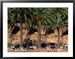 Outdoor Cafe Beneath Palm Trees In Parc Guell, Barcelona, Spain by Anders Blomqvist Limited Edition Pricing Art Print