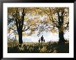 A Father Holds The Hands Of His Two Sons While On A Walk by Joseph Baylor Roberts Limited Edition Print