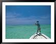 Bone Fishing, Grand Cayman by Timothy O'keefe Limited Edition Pricing Art Print