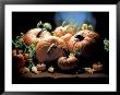 Pumpkins by Atu Studios Limited Edition Pricing Art Print