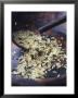 Wild Rice by Maja Smend Limited Edition Print