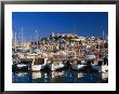 Fishing Boats Moored In Harbour At Elvissa, Ibiza, Spain by Bill Wassman Limited Edition Print