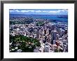 Albert Park And Auckland Cbd, New Zealand by David Wall Limited Edition Print