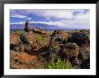 The Garden Of The Gods, Lanai, Hawaii, Usa by Ann Cecil Limited Edition Print