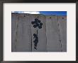 A Painting On The Israeli Separartion Wall In East Jerusalem Near The Border With Ramallah by Keenpress Limited Edition Print