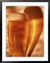Glass Of Beer And Shadow by Ernie Friedlander Limited Edition Pricing Art Print