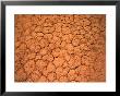 Parched Claypan Of Desert Simpson Desert, Australia by John Hay Limited Edition Print