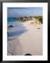 Horseshoe Bay, South Coast Beaches, Southampton Parish, Bermuda by Gavin Hellier Limited Edition Print