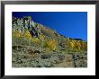 Fall Foliage Near Waterfall, Sierra Nevada Mts, Ca by Jim Vitali Limited Edition Print