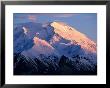 Sunset At Mt. Mckinley, Denali National Park, Ak by Hal Gage Limited Edition Print