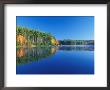 White Pines And Hardwoods, Meadow Lake, New Hampshire, Usa by Jerry & Marcy Monkman Limited Edition Print