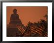 Po Lin Monastery And Buddha, Hong Kong by Stuart Westmoreland Limited Edition Print