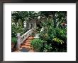 Sunbury Plantation House, St. Phillip Parish, Barbados, Caribbean by Greg Johnston Limited Edition Print