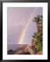 Rainbow Over Tropical Beach Of Anse Victorin, Seychelles by Nik Wheeler Limited Edition Print