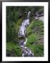 Waterfall, Crater Lake National Park, Oregon by Frank Siteman Limited Edition Print