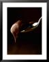 Chocolate Cream On Spoon by Bernhard Winkelmann Limited Edition Pricing Art Print