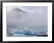 Cruise Ship, Reid Glacier, Glacier Bay, Ak by Yvette Cardozo Limited Edition Print