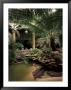 Reptile House At Forest Park, St. Louis Zoo, St. Louis, Missouri, Usa by Connie Ricca Limited Edition Print