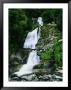 Depot Creek Falls Mt. Aspiring National Park, Otago, New Zealand by Barnett Ross Limited Edition Print