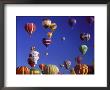 Hot Air Balloon Festival by James Blank Limited Edition Pricing Art Print