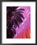 Commercial Facade With Palm Trees by Lonnie Duka Limited Edition Print
