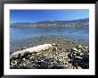 West Shore Of Okanagan Lake, Near Penticton, British Columbia (B.C.), Canada, North America by Ruth Tomlinson Limited Edition Print