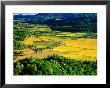 Napa Valley View, Napa Valley, United States Of America by Jerry Alexander Limited Edition Print