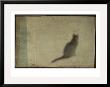 Blurred Cat Sitting by Mia Friedrich Limited Edition Pricing Art Print