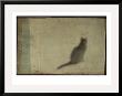 Blurred Cat Sitting by Mia Friedrich Limited Edition Print