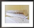 Row Of Glasses For Tasting, Chateau Baron Pichon Longueville, Pauillac, Medoc, Bordeaux, France by Per Karlsson Limited Edition Print