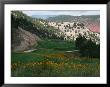 A View Of The Picturesque Par-5 13Th Hole At Ironbridge Golf Club by John Marshall Limited Edition Print