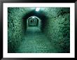 Catacombs Beneath D'alt Vila, Old Walled Town, Ibiza City, Balearic Islands, Spain by Jon Davison Limited Edition Print