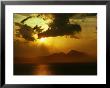 Silhouette Of Isla Del Carmen, Puerto Escondido, Mexico by Lee Foster Limited Edition Print