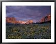 Sunrise With Wildflowers, Glacier National Park, Montana, Usa by Darrell Gulin Limited Edition Pricing Art Print