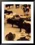 Cowboys At Indoor Rodeo, Fort Worth, Texas, Usa by Walter Bibikow Limited Edition Print