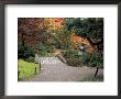 Pathway And Stone Bridge At The Japanese Garden, Seattle, Washington, Usa by Jamie & Judy Wild Limited Edition Print