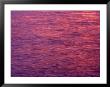 Sunset On Flathead Lake, Montana, Usa by Gareth Mccormack Limited Edition Pricing Art Print