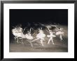 Bolshoy Theater Ballet Dancers, Russia by Scott Christopher Limited Edition Print