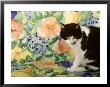 Black And White Cat Sitting On A Floral Chair by Lynne Brotchie Limited Edition Print