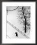 Snow Walker, Washington Square Park by Paul Katz Limited Edition Print