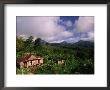 Overhead Of House In Rainforest, Roseau Valley, Dominica by Michael Lawrence Limited Edition Print