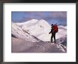 Man Backcountry Skiing, Crested Butte, Co by Tom Stillo Limited Edition Print