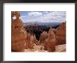 Thor's Hammer, Bryce Canyon National Park, Ut by Anthony James Limited Edition Print