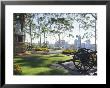 Perth From City Park, Western Australia, Australia by Charles Bowman Limited Edition Print